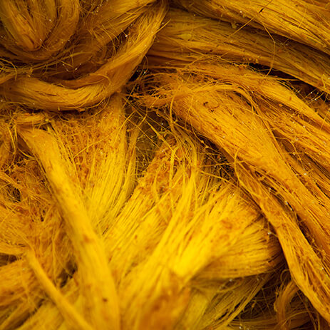 CURCUMA 37_mosaico galeria.jpg